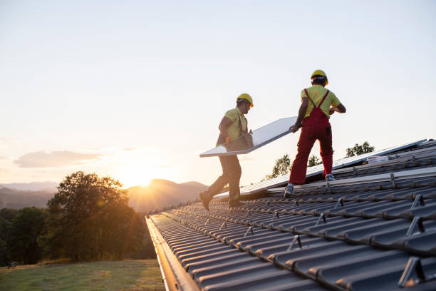 Best Roof Moss and Algae Removal  in Chackbay, LA